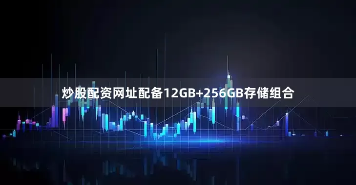 炒股配资网址配备12GB+256GB存储组合