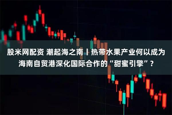 股米网配资 潮起海之南丨热带水果产业何以成为海南自贸港深化国际合作的“甜蜜引擎”?