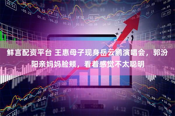鲜言配资平台 王惠母子现身岳云鹏演唱会,郭汾阳亲妈妈脸颊,看着感觉不太聪明