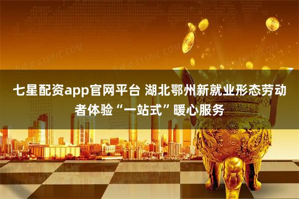 七星配资app官网平台 湖北鄂州新就业形态劳动者体验“一站式”暖心服务