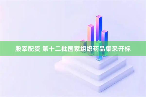股莘配资 第十二批国家组织药品集采开标