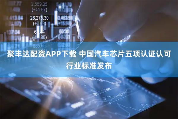 聚丰达配资APP下载 中国汽车芯片五项认证认可行业标准发布